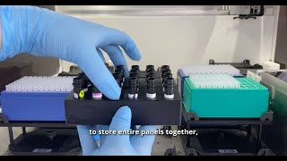 Automated Antibody Staining, Now Within Reach