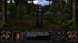 Lands of Lore IV - Aerin