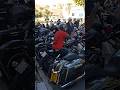 100's of Harley Davidsons roar into Albir, Spain #walkingcostablanca