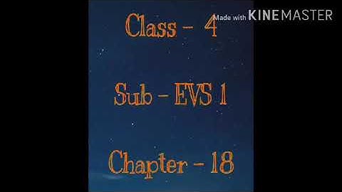 Std: IV: EVS-1: Chp 18: Changes in Family and Neighbourhood