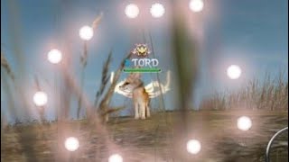 Level 90 Fennec Tord | Wild Animals Online