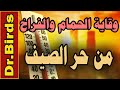 حماية الحمام و الفراخ من الحر في الصيف
