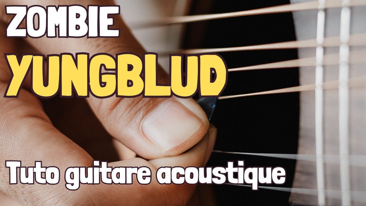 Très belle chanson à la guitare acoustique !