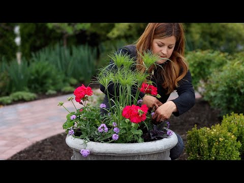 Planting Full Sun Summer Containers! 🌸🌿💜 // Garden Answer
