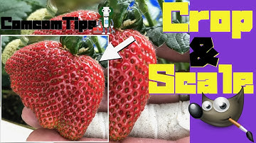 Gimp How to crop image square / How to crop image to perfect square and scale it / Resize an image