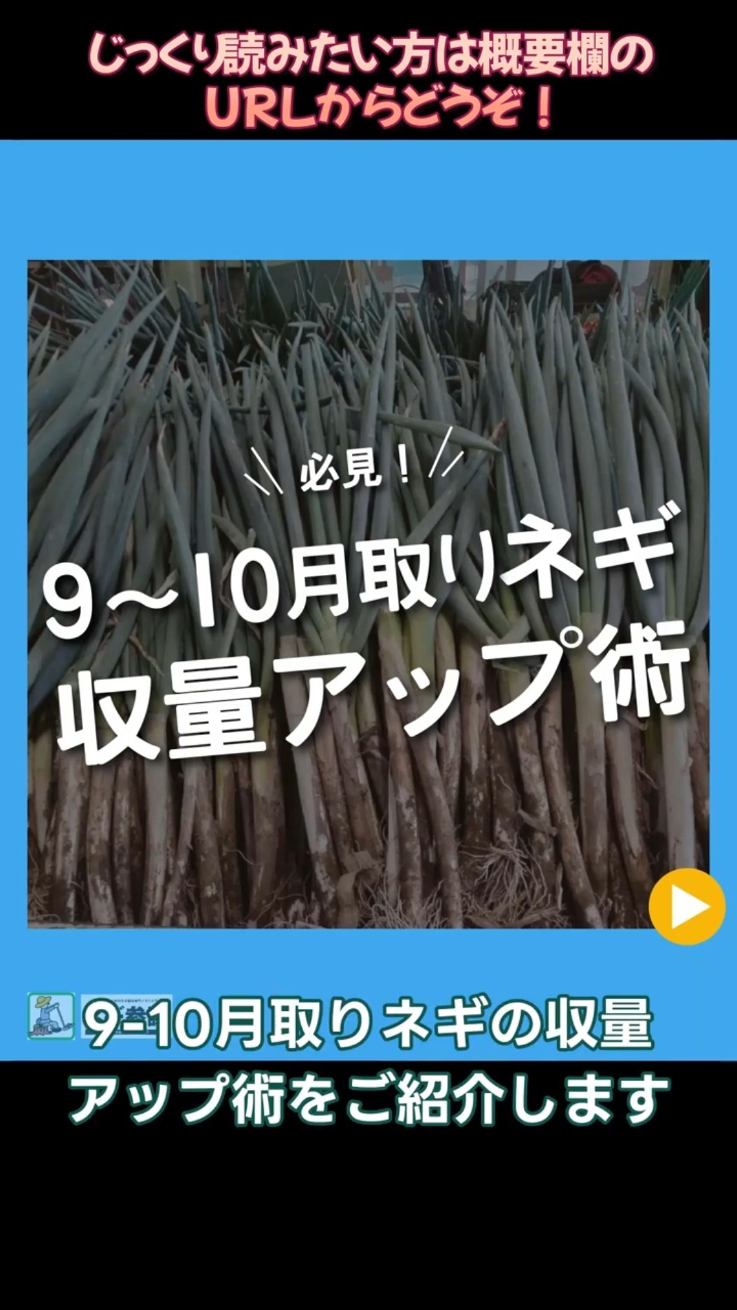 おねぎ様　リクエスト ネギの株間除草専用】ネオシス 20L(22kg)【クロネコヤマト利用希望の方