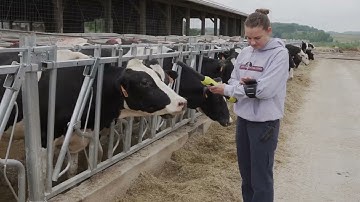 Managing Farm Data with BoviSync