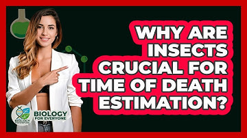 Why Are Insects Crucial For Time Of Death Estimation? - Biology For Everyone