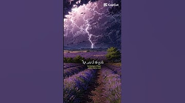 #القرآن كريم#واصبح فؤاد ام موسى فرغا#الشيخ ياسر الدوسري#