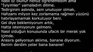 Özdemir Asaf - Eskisi Kadar Özlemiyorum Seni (Seslendiren: Kadir Yilmaz) Resimi