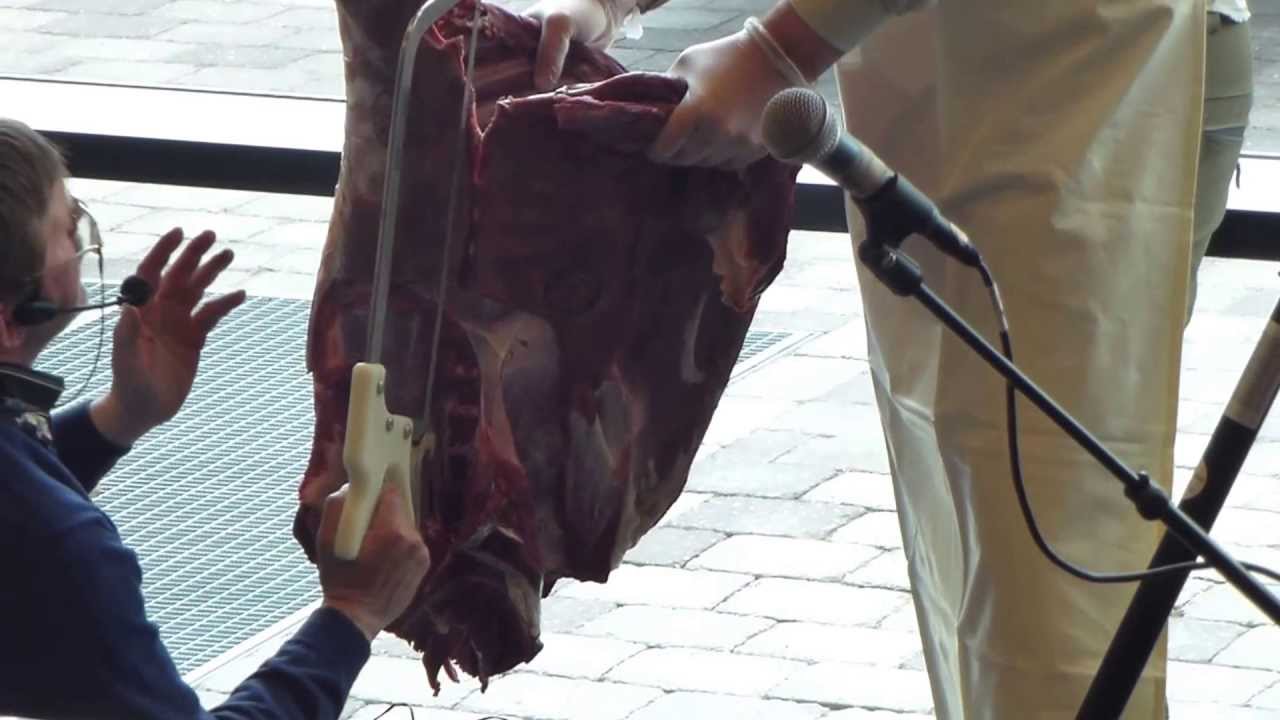 Partering av hjort @ Villmarksmessa Etne 2013, del 1