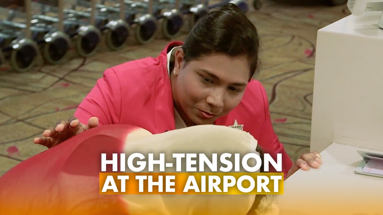 Documentary backdrop image for Crisis at the Terminal: Changi's Most Intense Situations (2026)