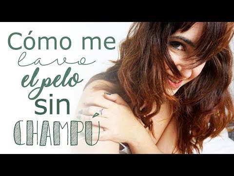 Método NO POO || TODO lo necesario para LAVARTE EL PELO sin champú hqdefault