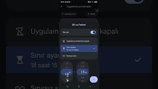 3- Google Family Link İçerik ve Kullanım Detayları