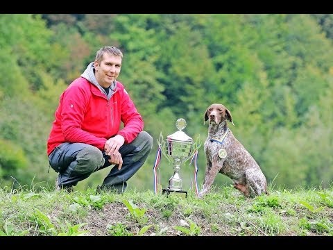 Video: Bor Ali Breza: Kaj Je Bolje? Kateri Material Je Močnejši, Cenejši, Trajnejši? Kakšna Je Razlika Med Brezovim In Borovim Pohištvom?