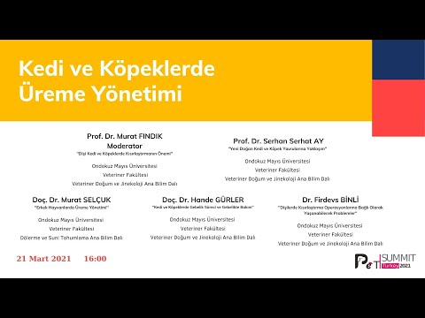 Video: Ovariohisterektomiye Karşı Ovariektomi