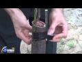 Revivir árbol seco