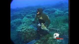 Spearfishing, the underwater fishing adventure