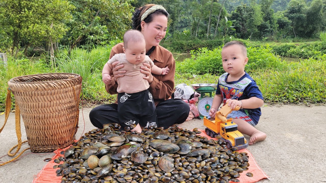 Mother and two children went together to find mussels in the stream to sell.|Quan Văn trường