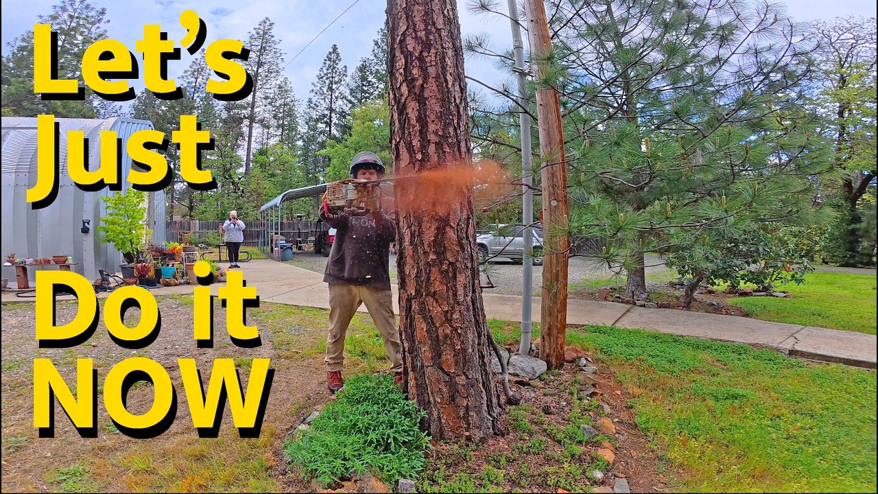 While Bidding a Tree Job