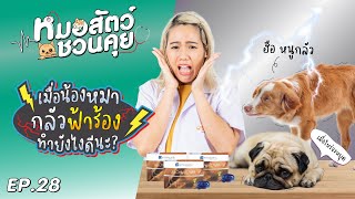 หมากลัวฟ้าร้อง ทำยังไงดี?  | หมอสัตว์ชวนคุย EP.28 by OSDCO Official 600 views 11 months ago 4 minutes, 42 seconds