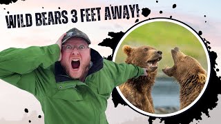 The Ultimate Guide To McNeil River Bear Viewing In Alaska