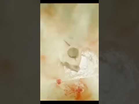 Allu Arjun Sad Attitude Status Allu Arjun Save Her Father