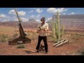 فليم قصير تقليد ثعلب و النعامة Wile E Coyote And Road Runner 