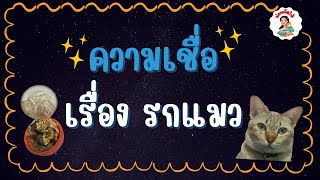 อภิหารรกแมวกับความเชื่อ เครื่องรางมงคลมีแล้วรวย #รกแมว #ความเชื่อ #ความเชื่อส่วนบุคคล #เครื่องราง