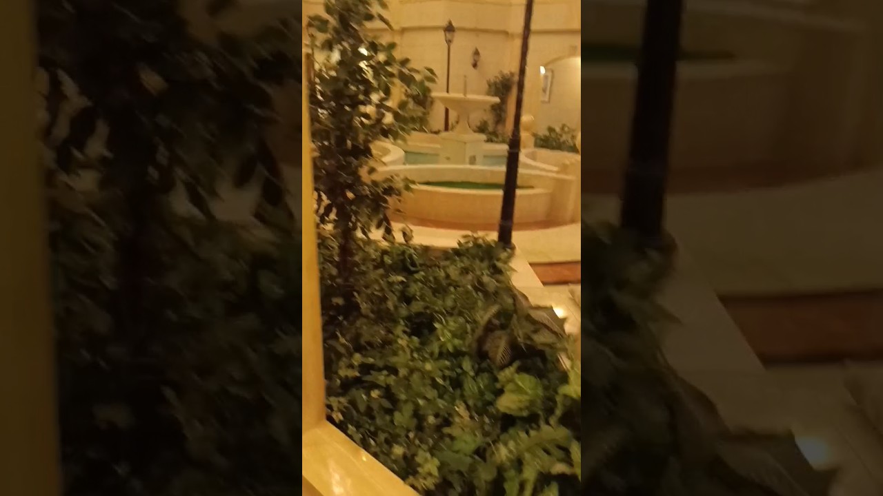 Carlton Tower Hotel, Dubai Corridor view | #carlton #dubaihotels