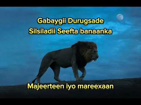 Gabaygii Durugsade Silsiladii Seefta Banaanka 2014