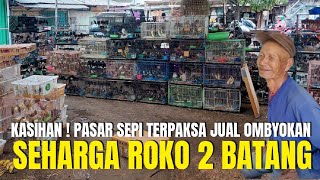 KASIHAN SI ABAH ! KONDISI PASAR MAKIN SEPI TERPAKSA JUAL BURUNG OMBYOKAN SEHARGA ROKO 2 BATANG