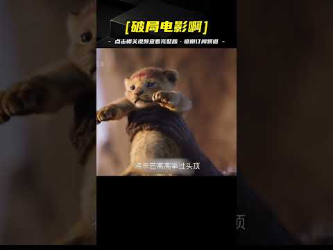 獅子王歸來！小獅子復仇之路，單挑獅群震撼上演