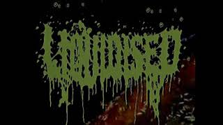 Liquidised - 24Tracks