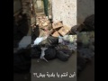 بلدية بيش إلى أين بلدية بيش إلى أين