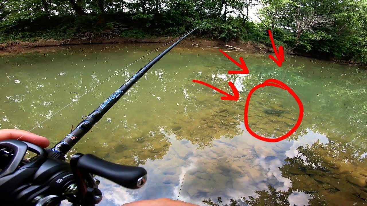 GIANT Spotted Bass, Middle Tennessee Creek Fishing!