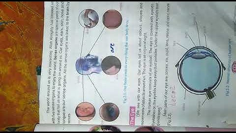 Science Class 6 Lecture 2 | By Ambreen | Falcon School System
