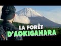 LA FORET D'AOKIGAHARA (SUICIDE FOREST) - (LES ETRANGES EXPERIENCES)