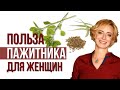 Полезные травы для женского здоровья. Пажитник. Шамбала.