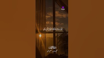 "دي مش مجرد تلاوة… ده إحساس"