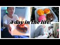 Day in the life! Nathan turns 12! Come grocery shopping with me! Vegan farmers market :)