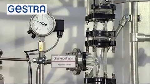 GESTRA Steam Glas System: Deaeration