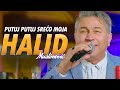 Halid Muslimovic Putuj Putuj Sreco Moja Orkestar Goran Todorovic