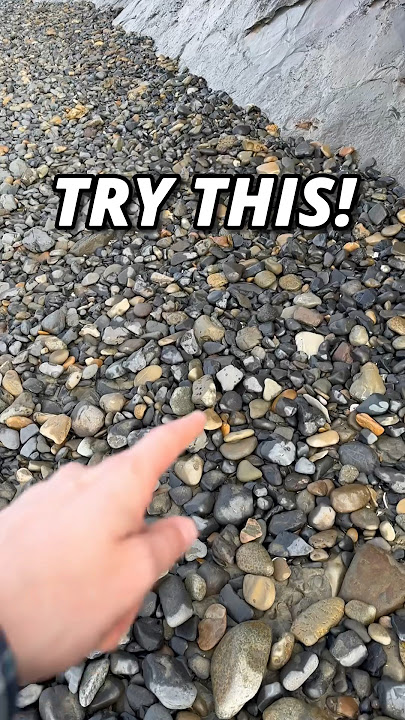 How to Find 20 Million Year Old Fossils EASY! #shorts