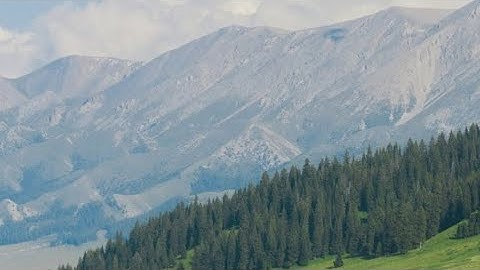 ANALISIS PROGRAM PEMERINTAH ERA JOKOWI - Laelatul, Zhagena XI-J