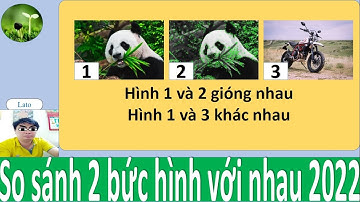 F6: So sánh 2 sự gióng nhau của 2 bức ảnh 2022 "lato