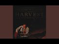 Benjamin (Harvest -Live Seed Folks Special In Katsushika 2014 - Version)
