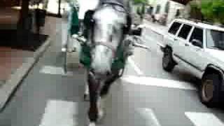 76 Carriage Company