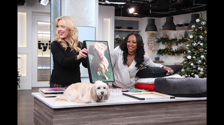 6 adorable personalized gifts the pet parents will love