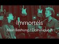 Immortels  alain bashung  dominique a  raw cover 48  feat lize